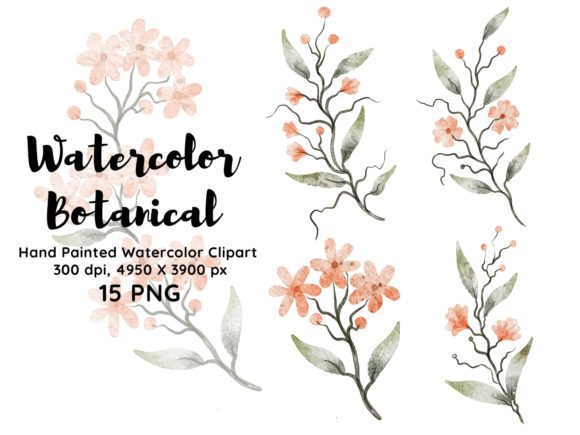 Download Watercolor Botanical Clipart PNG - Clip Collection