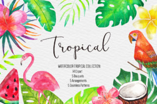 Download Watercolor Tropical Clipart Illustration - Clip Collection