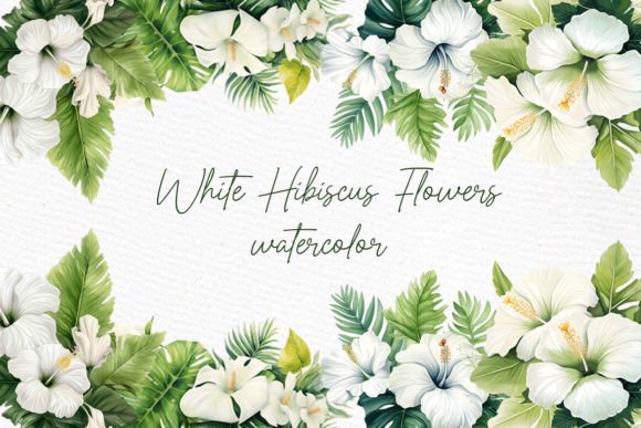 Download Watercolor Hibiscus Clipart White Flower - Clip Collection