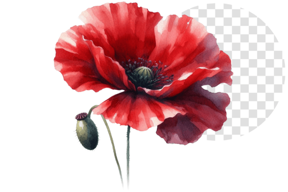 Download Poppify Watercolor Red Poppy Clipart - Clip Collection