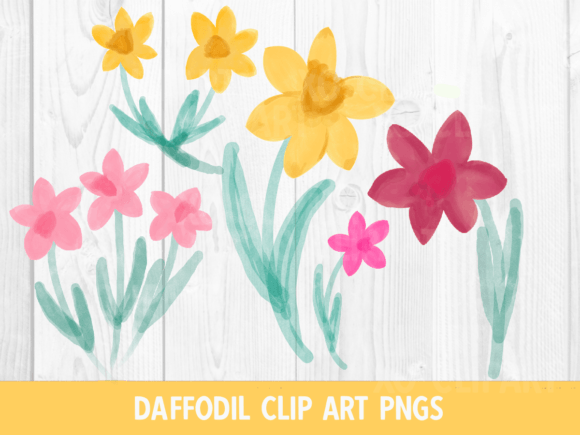 Download Watercolor Daffodil Clip Art PNGs - Clip Collection