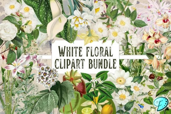 Download White Floral Vintage Clipart Bundle - Clip Collection