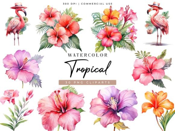 Download Watercolor Tropical Clipart Bundle - Clip Collection