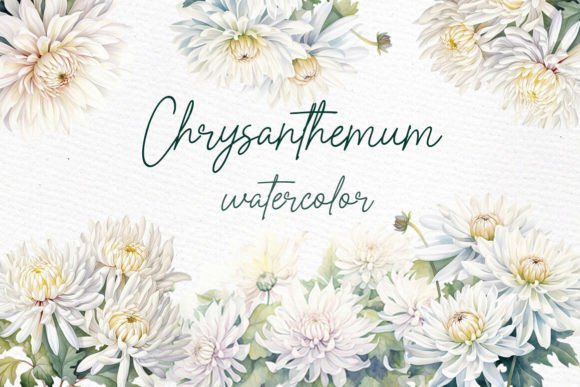 Download White Floral Clipart White Chrysanthemum - Clip Collection