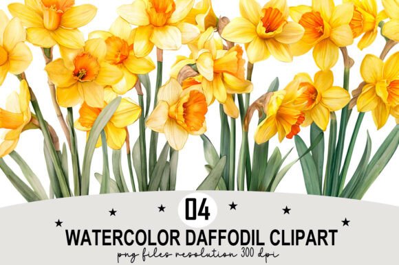 Download Watercolor Daffodil Clipart - Clip Collection