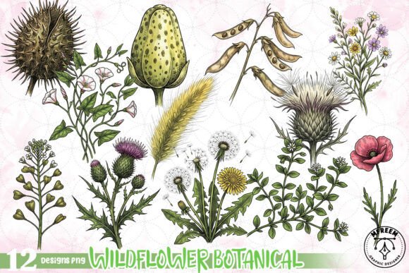 Download Wildflower Botanical Clipart PNG - Clip Collection