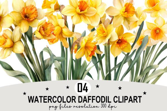 Download Watercolor Daffodil Clipart - Clip Collection