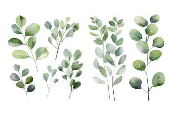 Download Baby Blue Watercolor Eucalyptus Clipart - Clip Collection