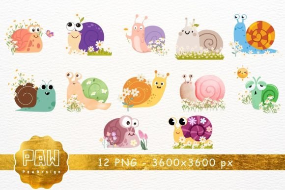 Download Happy Snail Daisy Watercolor Clipart - Clip Collection