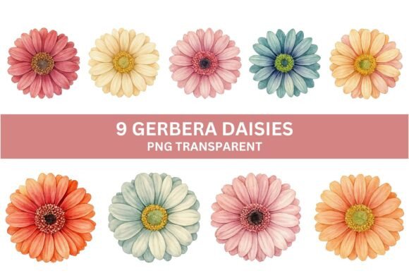 Download 9 Pastel Gerbera Daisy PNG Clipart Set - Clip Collection