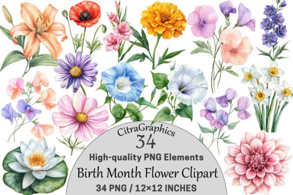 Download Watercolor Birth Month Flower Clipart - Clip Collection