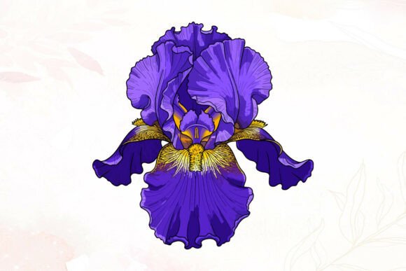 Download Vibrant Purple Iris Flower Illustration - Vibrant Collection